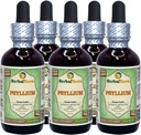 Psyllium (Plantago Ovata) Glycerite, אורגני Dried Husk אלכוהול-Free Liquid Extract (Brand Name: HerbalTerra, Madely בארצות הברית) 5x2 fl.oz (560 מ"ל)