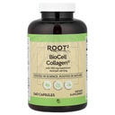 Vitacost ROOT2 BioCell Collagen עם Hyaluronic Acid - 100 מיליגרם פרבור - 240 קפסולות