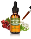Herb Pharm הות'horn ייצור נוזלי עבור Cardiovascular ו- Circulatory Support, 1 Fl Oz