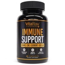 Immune תומך ויטמינים - Elderberry עם Zinc, ויטמין C ו Garlic למבוגרים - Sambucus Black Elderberry קפסולות & Echinacea Immunity חידוש מורכב