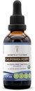 California Poppy USDA Organic Tincture | Alcohol-FREE Extracts, High-Potency Herbal Drops | Made From 100% מוסמך אורגני קליפורניה פופפי (Escholzia Californica) Dried Herb ופרח (2 oz)
