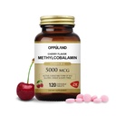 Methyl B-12 5000mcg Chewable עם Folate - ויטמין B12 Methylcobalamin Sublingual Tablet - תומך אנרגיה ותפקוד המוח - תוספת טבעונית - דובדבן 120 הרוזן