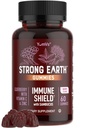 חניכיים כדור הארץ חזק - Sambucus Elderberry Immune תמיכה עם ויטמין C & Zinc - Black Elderberry חניכיים, ברי פלפור, non-GMO, Gluten Free, כשר - 60 הרוזן