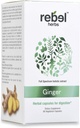 Rebel Herbs ג'ינג'ר קפסולות כפולות עוצמה, non-GMO, Gluten Free, ג'ינג'ר Root (Rhizome)
