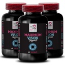 תמיכה בעין - VISION SUPPLEMENT - בהירות לנס, מחדד פוקוס, סצנות ברייט, עיניים חדות, מראה צלול קריסטל, דחיפה חזותית, תמיכה להתמקד, חזון קליר, להתמקד היתרון של 3 בקבוקי 180 Caps