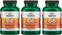 Swanson B6 Pyridoxine - תוסף ויטמין לקידום בריאות קרדיווסקולרית ואנרגיה מטבוליזם - פורמולה טבעית לקידום בריאות כללית - (250 קפסולות, 100 מ"ג כל אחד) 3 Pack