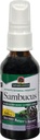תשובתו של הטבע Sambucus Syrup לחלץ Spray 2 Fluid Ounces | Immune Booster on the Go | Travel Friendly