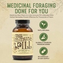 Immune Pill 90 קפסולות - Immune System Support w/Vitamin C, Elderberry פירות, Prunella Vulgaris, Echinea & Cordyceps Mushroom קפסולות - Immune System Booster / Immune Boosters for Adults for Adults & Kids & Kids