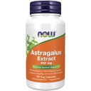 Now Foods Immune Support Supplements, Astragalus לחלץ 500 מ"ג (הופנה מהדף 70% Polysaccharides), 90 קפסולות Veg