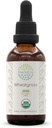 HerbEra חיטהgras B60 USDA אורגני Tincture | מזון ללא אלכוהול, High-Potency Herbal Drops, נוזל | תוספת של חיטה אורגנית מוסמך (Triticum aestivum) Dried Leaf (2 oz)