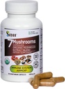 Sayan 7 Mushroom לחלץ 90 קפסולות /440 מ"ג ea - Immune Support & Energy - צ'אגה אורגנית, Reishi, Lion's Mane, Maitake, Shiitake, טורקיה Tail הסתגלותגן בלגן - טבעוני, non-GMO, No Fillers או Addits