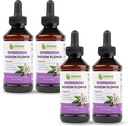 Maxx Herb Passion Flower Extract Extract Extract - Max Power Passion-Flower נוזל Absorbs טוב יותר מאשר כמוסות, עבור הקלה ומאמץ מתח, אלכוהול חינם - 4 בקבוקים, 4 Oz כל אחד (240 משרתים)