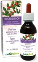 Naturalma Butcher's Broom (Ruscus aculeatus) Root Alcohol-Free Tincture - 4 floz Liquid Extracts - Herbal Supplement - טבעוני