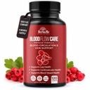 Blood Circulation תוסף, 120 קפסולות, תומך בחקיקה Vein, Heart, Vessels ו- Cardiovascular Health עם Niacin, L-Arginine, ג'ינג'ר, קייאן פפר, הולורן, Diosmin, Blood Flow Pillsmin, Blood Flow Pills