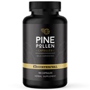 Surthrival: Pine Pollen אבקת קפסולות (180 הרוזן), Wild Harvested, Energy & Endurance שיקום