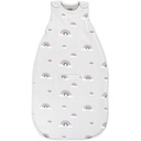 Baby Sleep Sack - 4 Season Baby Wearable Blanket - Two-Way Zipper Fitable Sleep Bag for Babies and Toddlers - Universal Size (2-24 חודשים)