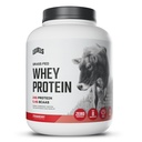רמות Grass פדו אבקת חלבון Whey, לא מלאכותיים, 24G של חלבון, סטרוברי, 5LB