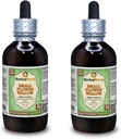 Small Flower Willow (Epilobium parviflorum) Glycerite, Dried Herb Alcohol-Free Liquid Extract (Brand Name: HerbalTerra, Proudly Made in USA) 2x4 fl.oz (2x120 ml)