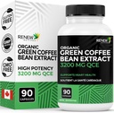 חידוש Actives High Potency Green Coffee Bean Extract - 800 מ"ג למיצוי קפה ירוק לשרת עם 50% Chlorogenic Acid עבור היתרונות אנטי-חמצן - המיוצר בקנדה - 90 קפסולות טבעוניות