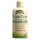 Gar Greens חיטה Grass נוזל עם תמצית ג'ינג'ר אמיתי, מזון העל המושלם של הטבע, 32 משרתים