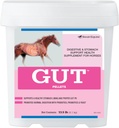 GutTM Pellets | בריאות Gut Probiotics for Horses | Equine Prebiotic & Probiotic אבקה