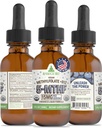 RawGuru L-Methylfolate 15 מ"ג + ויטמין B12 - אורגני Methylated B12 עם Trace מינרלים - Nano-Processed & Enhanced נוזל פורמולה - 300 משרתות טבעוניות טיפות ל -30 מ"ל, Pack של 1 1 1 1