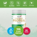 אבקת חלבון טבעוני ReNEVA | 15g Plant Based חלבון מ Pea & Rice | Gluten Free, Milk Free, Lactose Free, Soy Free, Zero Sugar (מתוק באופן טבעי עם Stevia) | 12.7 Ounce Reseable Canister Canister
