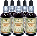 שורש המלכה (Stillingia Silvatica) Tincture, Dried Roots נוזל לחלץ (שם בדוי: HerbalTerra, המיוצר גאה בארה"ב) 5x2 fl.oz (5x60 מ"ל)