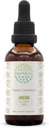 Ceylon Cinnamon B60 Alcohol-Free Herbal Extracting Tincture, excentrated Liquid Drops Natural Cinnamon (Cinnamum Verum) 2 oz)