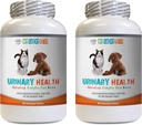 Cat UTI Pain Relief - חיות Urinary Health Complex - for Dogs and Cats - Advanced Bladder Support - Cranberry Bites for Cats - 2 בקבוקים (180 טיפולים)