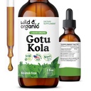 Wild & אורגני Gotu Kola Herb Tincture - תמיכה במוח - Gotu Kola נוזל לחלץ טיפות - טבעוני, סוכר ואלכוהול חינם Centella אסיהtica תוסף - 2 oz