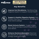 בריאות Probiotic & Prebiotic - 90ct Support Stomach Microbiome, מניעת בעיות עיכול, להפחית בעיות אנליסטים Gland, לשפר את תפקוד Immune ואנרגיה כוללת