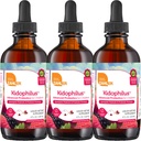 Zahler - Kidophilus נוזל טיפות פרוביוטיקה לילדים (4 Fl Oz) מוסמך כשר, עבור בריאות עיכול ותמיכה Immune - פירות Punch Flavored טיפות פרוביוטיות של ילדים (3 Pack)
