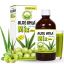 יסוד Ayurveda Joberry + Aloe Vera Juice - 16.23 Fl Oz ( 480 מ"ל) | 50-Fifty הנעלה שלה Mix for Immunity, Digest & Skin Health