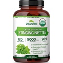 Zazzee USDA אורגני Sting Nettle 20:1 לחלץ, 9000 מ"ג כוח, 120 קפסולות טבעוניות, 4 חודשים אספקה, ריכוז, סטנדרטי 20X לחלץ, אורגני מוסמך, 100% Vegetarian, All-Natural, non-GMO.