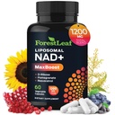 תוסף NAD+ - 500 מ"ג של Pure NAD Plus לאנרגיה, Focus, Skin & Anti-Aging Support - Gluten Free non-GMO NAD תוספים לנשים וגברים (60 Count (Pack of 1), NAD+ Resveratrol)