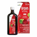 Hübner Hubner Iron Vital נוזלי אספקת ברזל בתוספת ויטמין C, תוספת תזונתית למבוגרים ולילדים, טבעוני וגלוטן חינם, פירות פלאמור, 500 מ"ל בקבוק, 50 משרתים