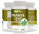 Papaya Leaf Extract כמוסות (Tablets) - 500 מ"ג 240 גלולות, תמיכה פלטת Immunity & Digestion - 60 ימים אספקה