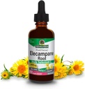 תשובתו של הטבע Elecampane Root 2 oz אלכוהול אורגני נמוך 2000 מ"ג - תוסף צמחי - Non GMO & כשר - נמוך סוכרנט חינם 100% טבעוני - 2 FL Oz
