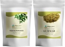 HerBAL HILLS Neem Leaf אבקת ו- Gormar אבקת התעמלותnema Silvestre Pack של 2 Combo