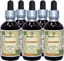 BlackBerry (Rubus frutcosus) Tincture, אורגני Dried Leaves Liquid Extractis (שם בדוי: HerbalTerra, Madely בארצות הברית) 5x2 fl.oz (5x60 מ"ל)