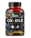Humming Herbs Ox Bile עם Enzymes & Pre / פרוביוטיקה 90 Veg Caps C Catholic Acid, Inulin, Betaine HCl, Peppermint, Bromelain Healthy Digestion & Foodsent Absorption - Bile Salts תוסף תוסף תוסף