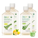 AloeCure אורגני Aloe Vera Juice - 4 Bottle Sample Pack - Lemon & Natural Flavor, 4x500 מ"ל
