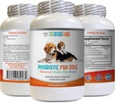 מזון פרוביוטי לכלבים - כלב PROBIOTICS - Bad Breath and Passing Gas Solution - בריאות הפה - חומצה לכלבים - 1 בקבוק (60 טיפולים)