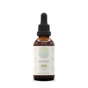 HerbEra Lomatium B60 אלכוהול חינם Herbal לחלץ Tincture, excentrated נוזל טיפות טבעי Lomatium (Lomatium Dissectum) 2 ozoz