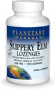 צמחים פלנטריים Slippery Elm Lozenges, 100 Count