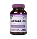 BlueBonnet Astragalus Root Extract, 60 Count