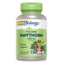 SOLAרי הותורן ברי קפסולות 1050 1050 של 1050 מ"ג - Soothing Herbal Support - הותורן ברי לתמיכה כללית של בריאות - Whole Berry, Vegan, Non-GMO, 60 יום ערבות, 90 משרתות, 180 VegCaps