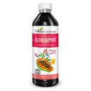 Papaya Leaf Blood Support נוזל - 15X Power - Papaya Leaf - לוחות בריאים, ניקוי דם, העיכול, Papaya Enzyme-12oz נוזל - Herbal Goodness (1 btl)