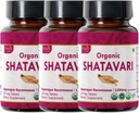 Shatavari 120 טבליות | Asparagus Racemosus (Shatavari) | USDA אורגני מוסמך | תמיכה במערכת הבריאות והחיסון של נשים